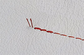 444444444444444444444444